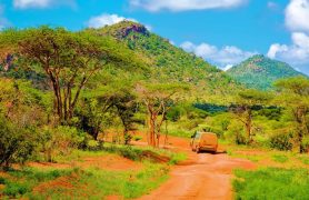 Pažintinės kelionės Afrikos safariai